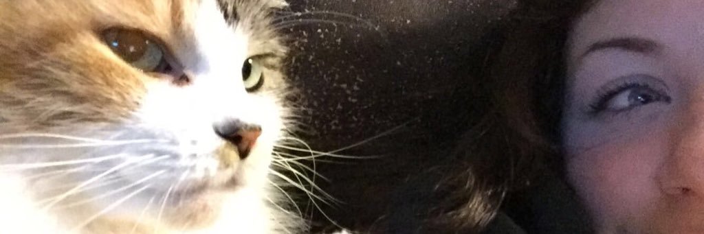 Katy_Sabean's profile banner image