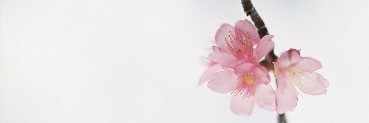 _mitchy92's profile banner image