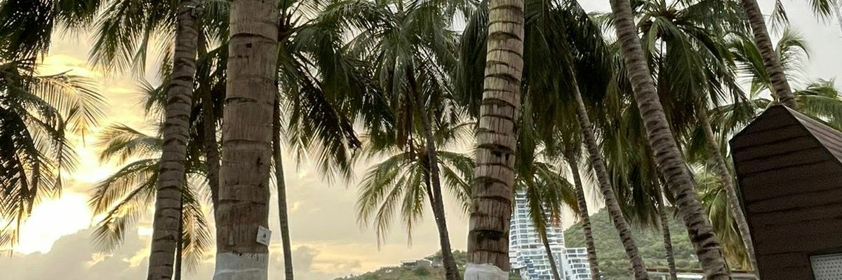 AnaMariaRam3's profile banner image