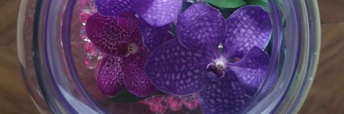 NaiaPrez's profile banner image