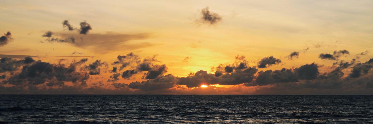 nickdanforth's profile banner image