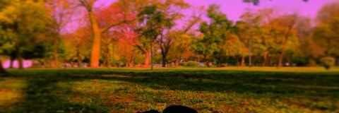 CamilaNeerea's profile banner image