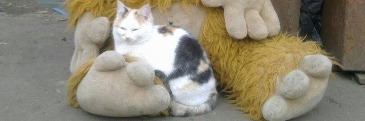 Карл Фридрих Иерониим фон Мюнхгаузен banner