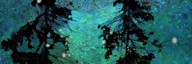 Clio Em 🖤🌷 banner