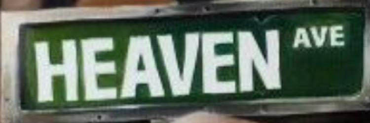 msmed84's profile banner image