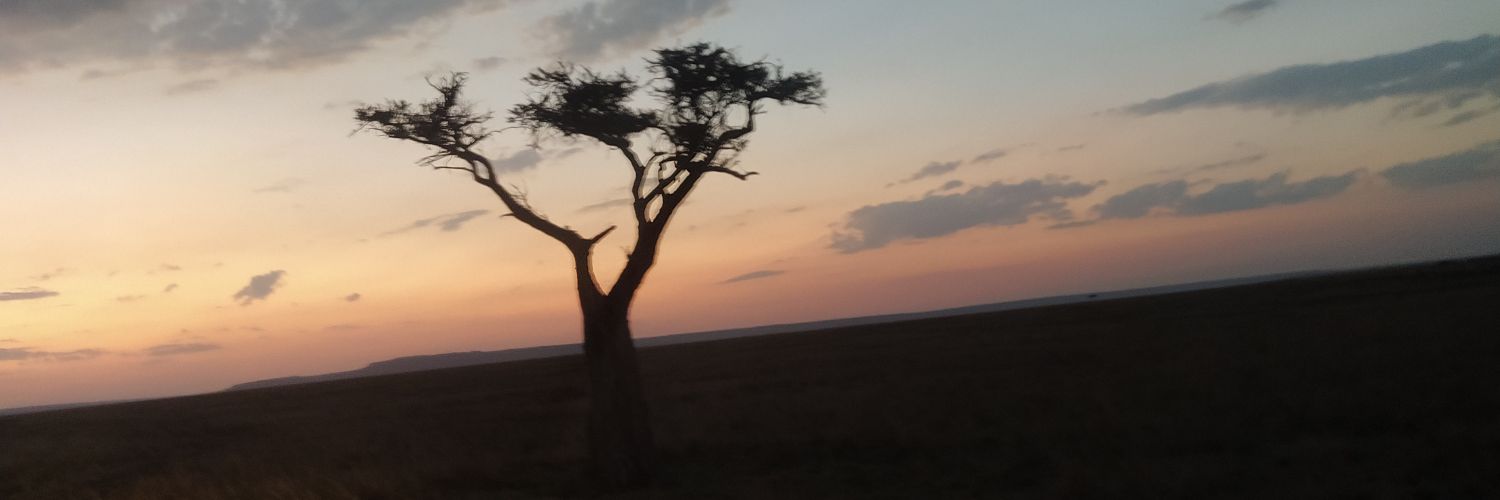 JoeyPamba's profile banner image