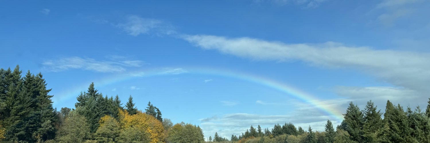 Swiftbug13's profile banner image