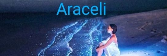 1964Ara's profile banner image