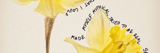 ariadnadleon's profile banner image