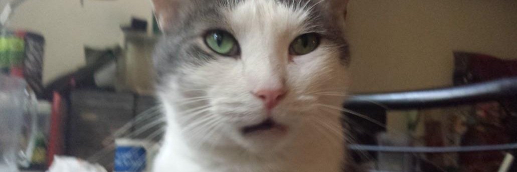 ChipNipple's profile banner image