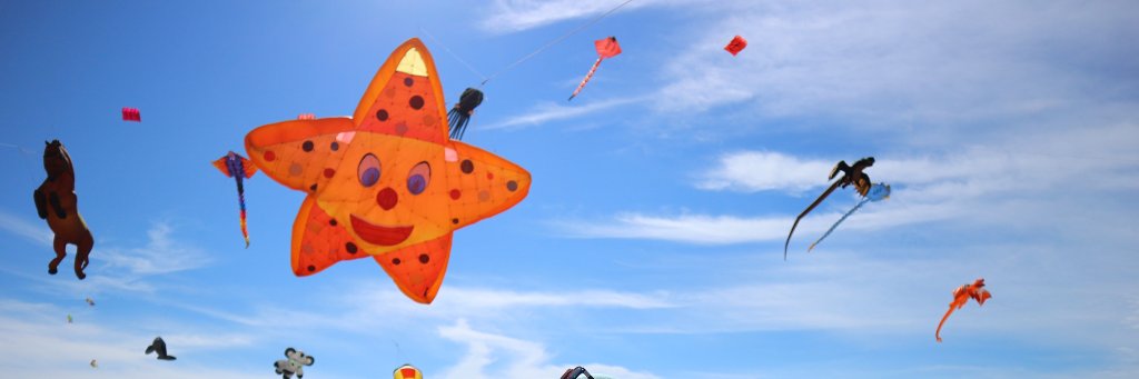 Apinglia's profile banner image