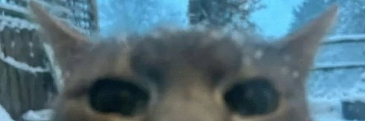 RealDealAustin1's profile banner image