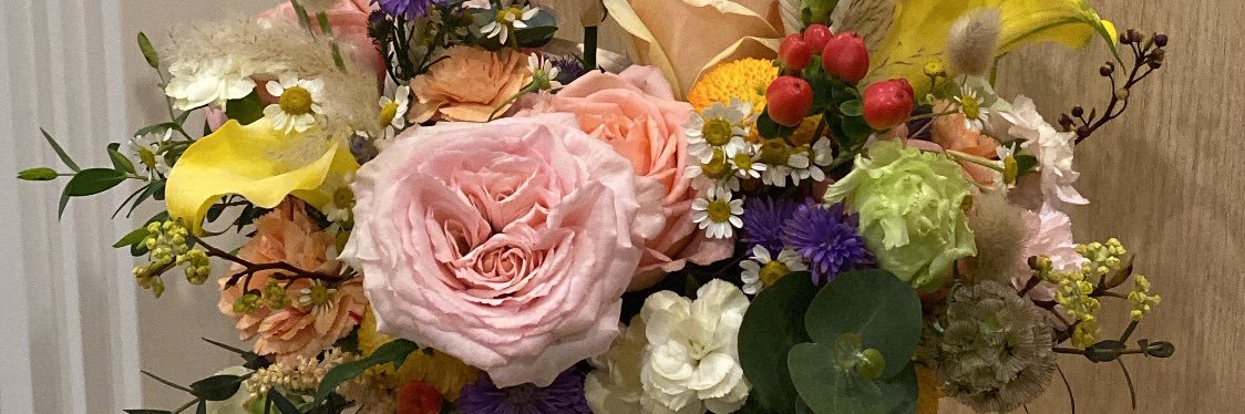 korranis's profile banner image