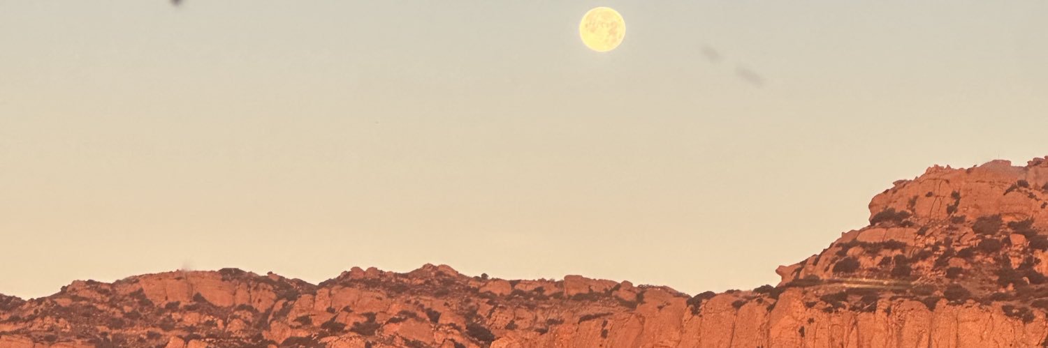 AnchalChand's profile banner image