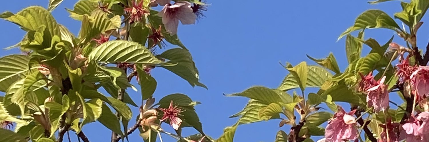 sitmrl8st's profile banner image