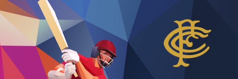 Firle Cricket Club banner