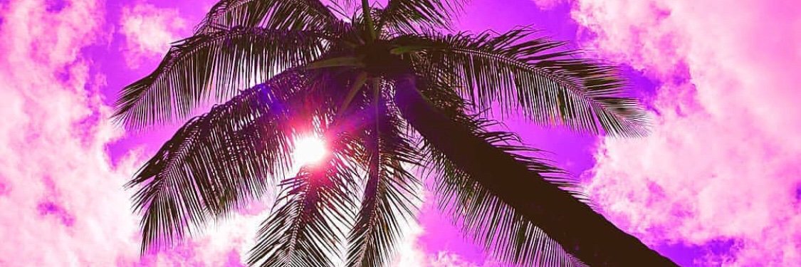 Passionfruittt's profile banner image