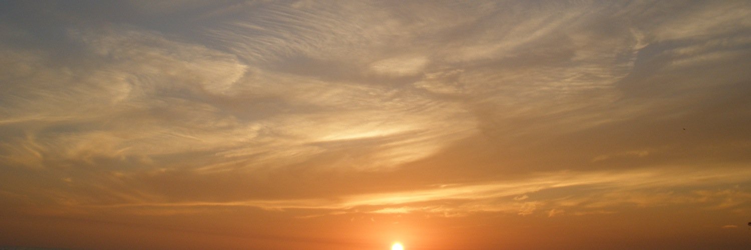 Pam Ansted Uller banner