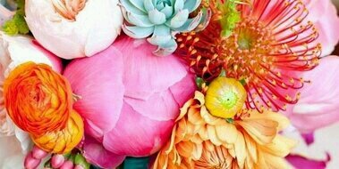 kelsey heiple banner