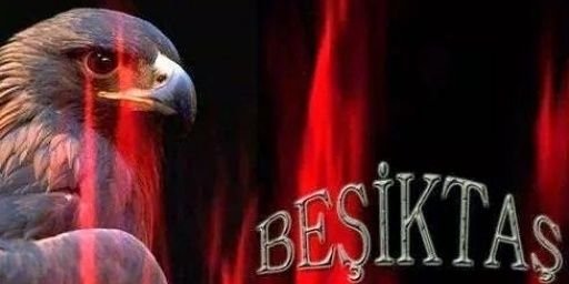 LeventEsen77's profile banner image