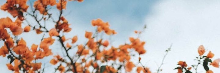 gyamhoo's profile banner image