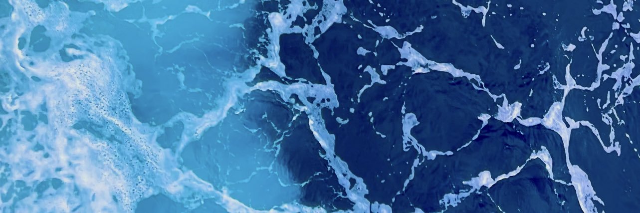 carielophobiac's profile banner image