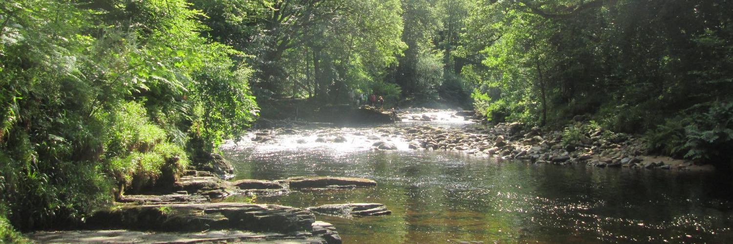 TraciLewis79's profile banner image