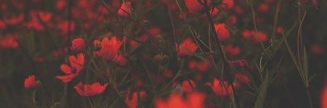 AmirthaShri's profile banner image