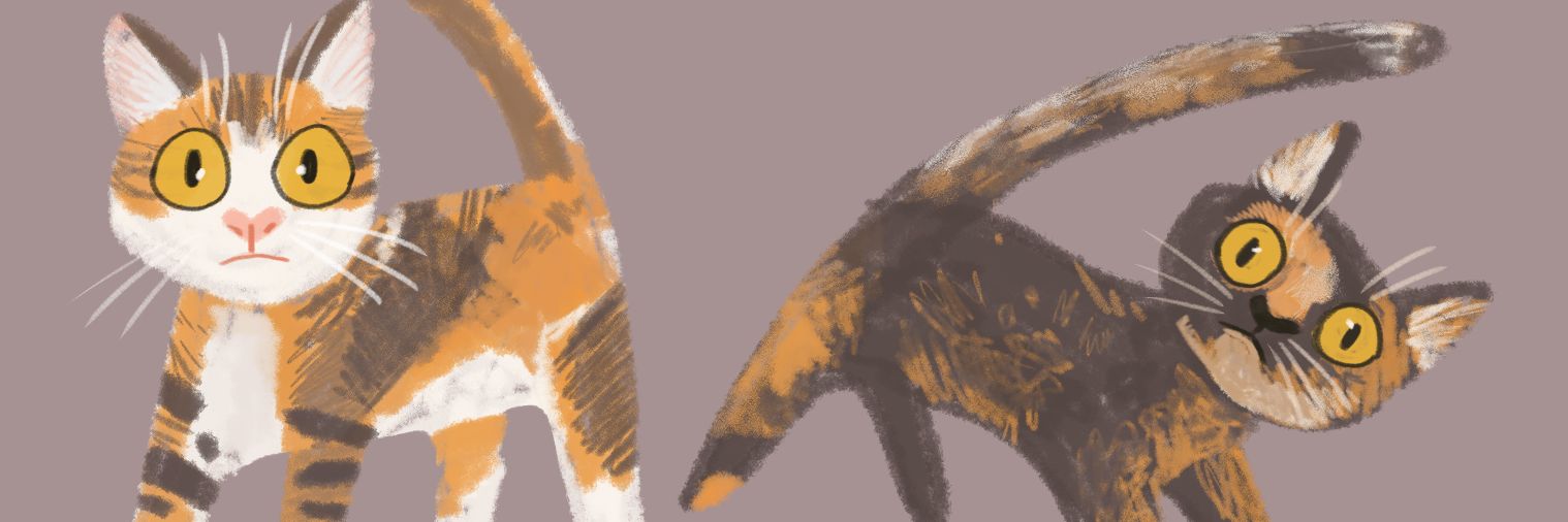 itsnemily's profile banner image