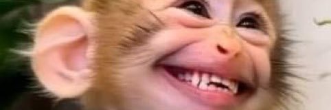 kepidaraan's profile banner image