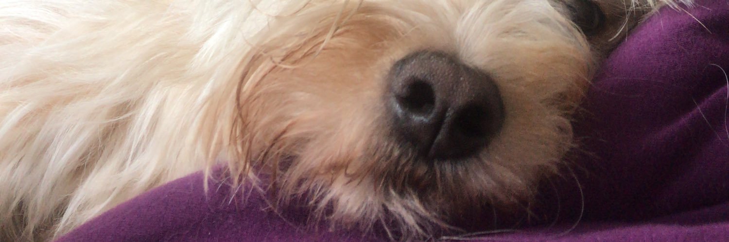 fernaandomc's profile banner image