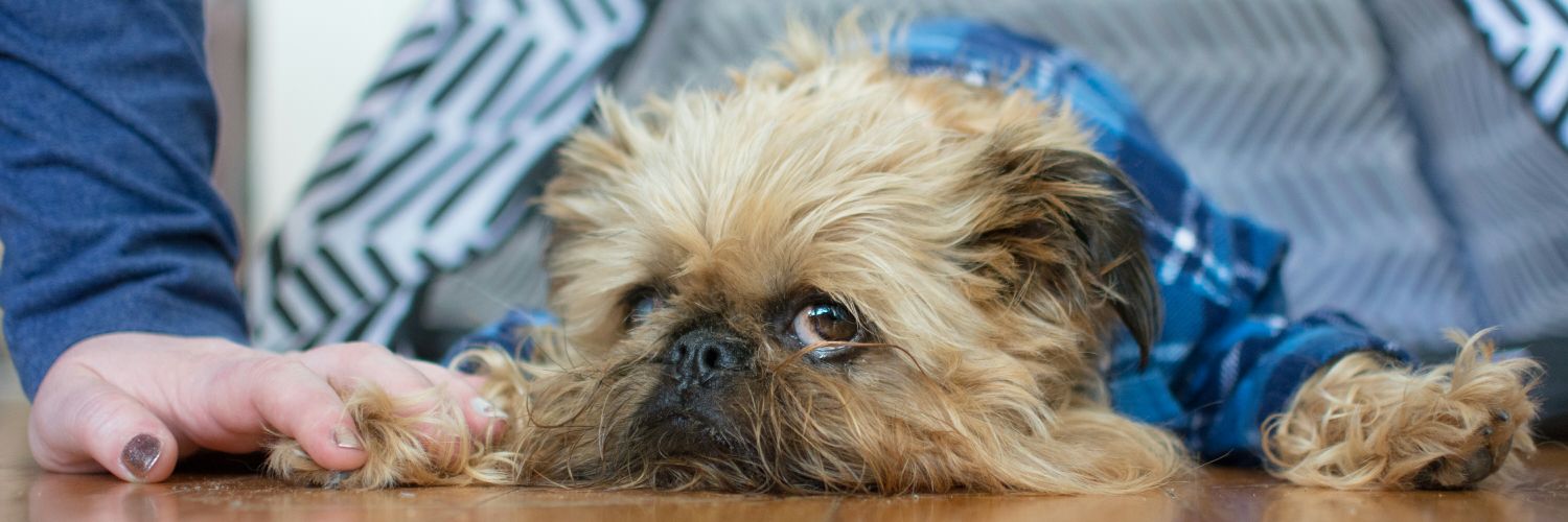 DigbyVanWinkle's profile banner image