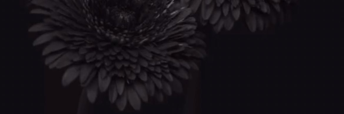 _Theplug97's profile banner image
