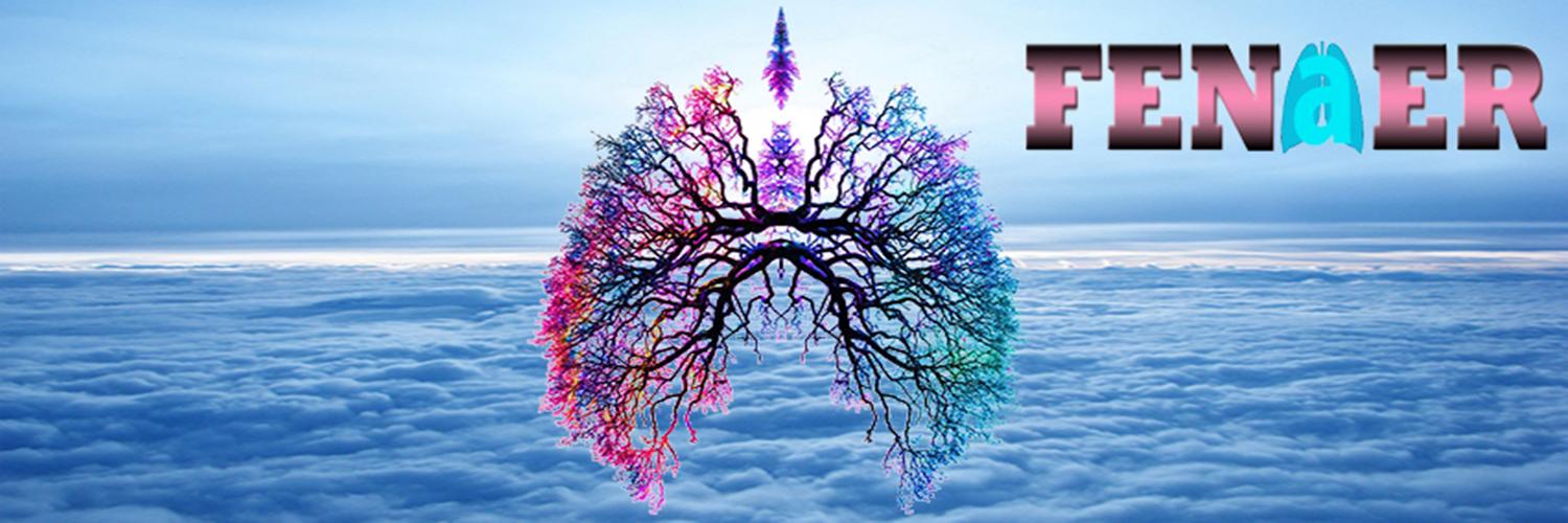FENAER's profile banner image
