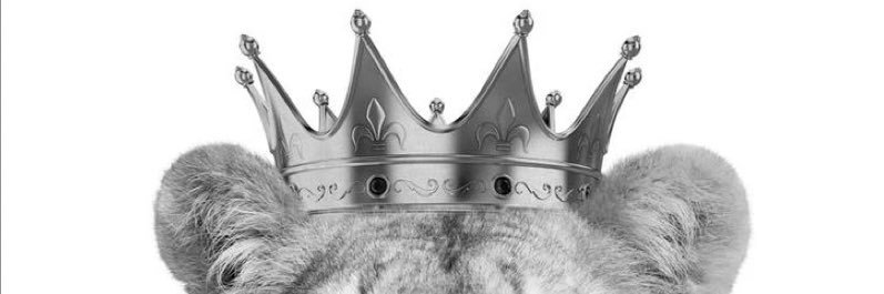 KaytQutey's profile banner image