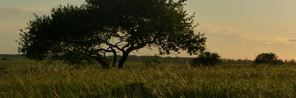 AnneChrisMonnet Profile Banner