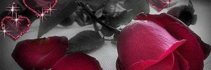 H8464u's profile banner image