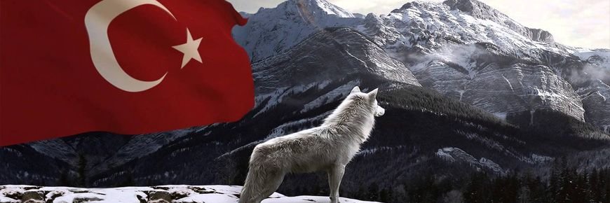 snanbey06's profile banner image