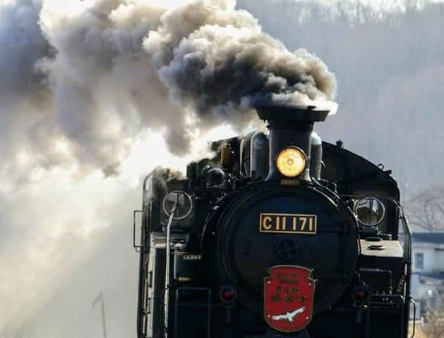 koko_ji's profile banner image