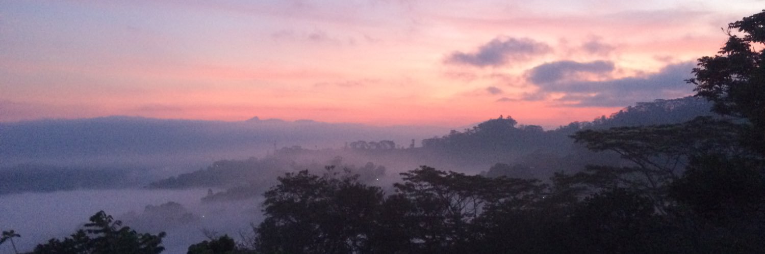 Sharlene Dawson banner