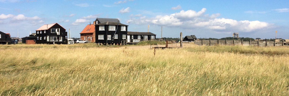 Andrew Wilson banner