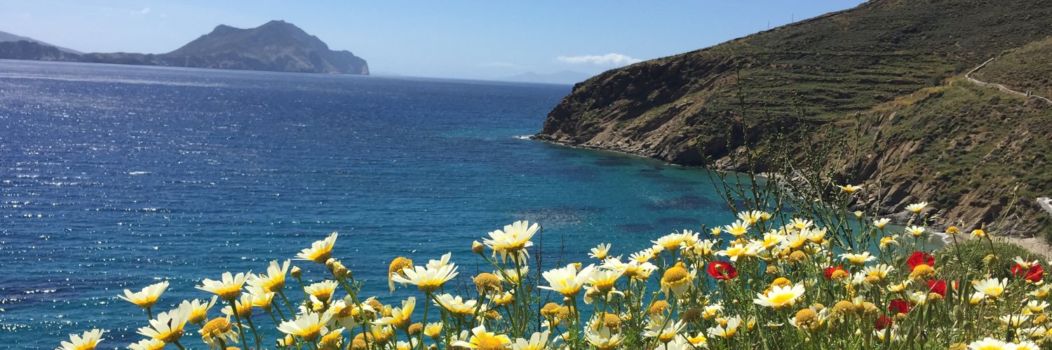 Guillaume Lepecq banner