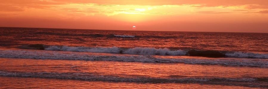 Nelson Peralta banner