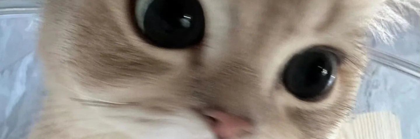 senaaslaan's profile banner image