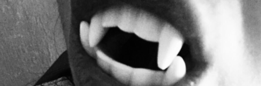 me4ris's profile banner image