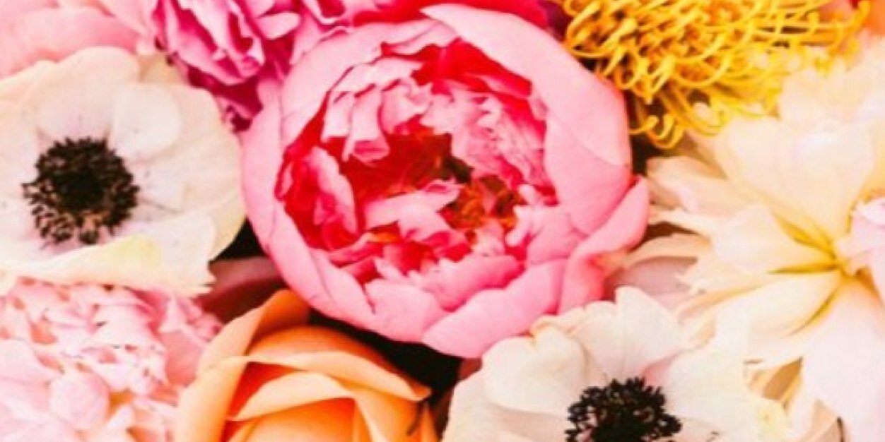 annabelrdickson's profile banner image
