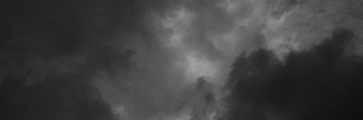 ilsamuni's profile banner image