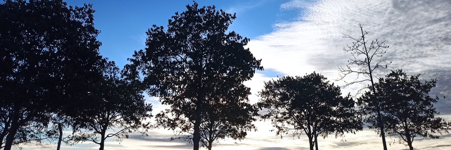 azimlizehra's profile banner image