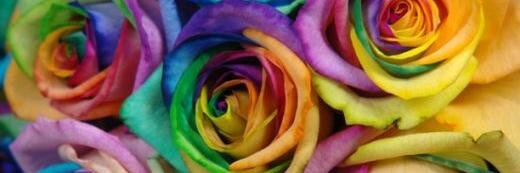 explosionsofjoy's profile banner image