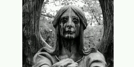 stefanus_aja's profile banner image